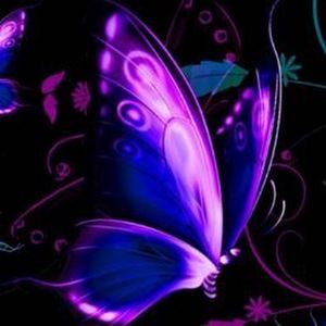 Meet your Posher, Kris